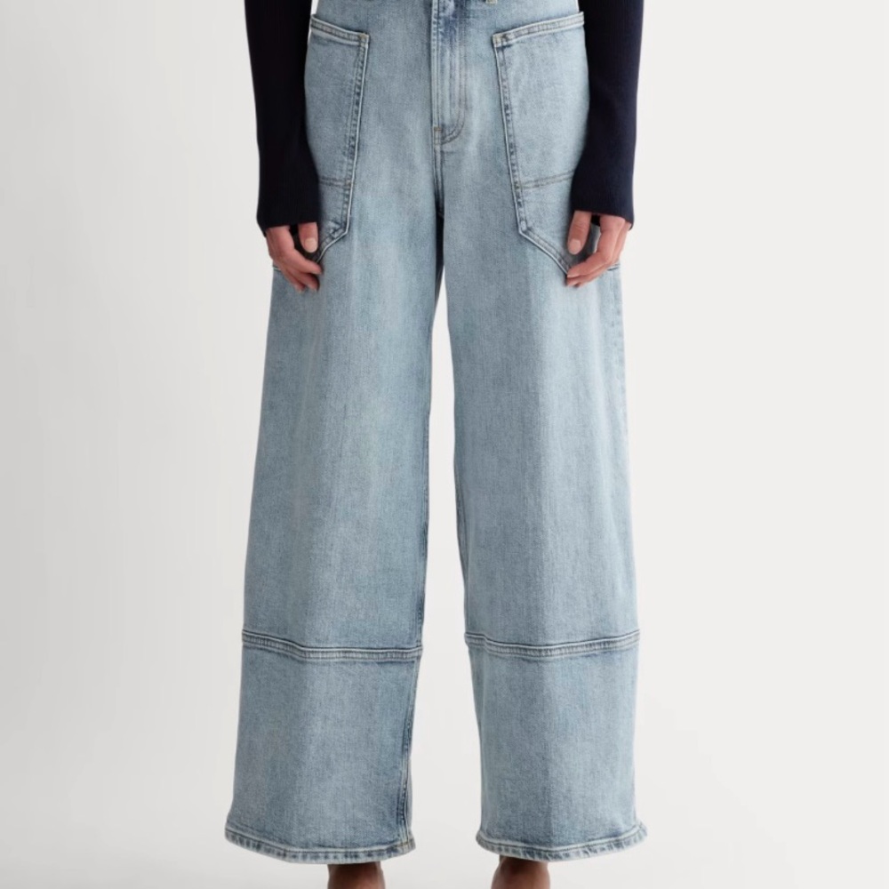 NWOT Everlane Way High Gardener Jean (Size 30)